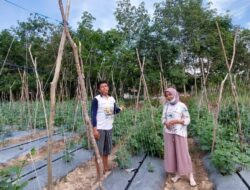 Pencegahan Pencemaran Lingkungan Oleh Pemakaian Fungisida Sintetis dengan Pemanfaatan Ekstrak Tanaman Sebagai Fungisida Alami