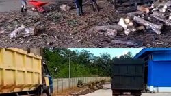 Mengintip Kesibukan Masyarakat di Pabrik Woodschip PT MBE