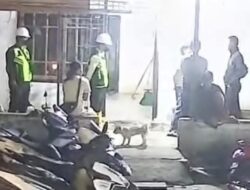 Pasir Timah Ilegal di Belitung dan Beltim Diduga Dimonopoli PT Timah