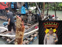 Dekati Batas Hutan Lindung, Tambang Ilegal di Sungai Gantung Bebas Beroperasi