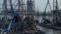 Hutan Lindung Sarang Ikan kembali Dikepung Penambang, Bos Abs Disebut Aktor Utama