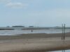 Bukan IUP PT Timah, Ratusan Ponton Milik CV kepung Pantai Pasir Padi