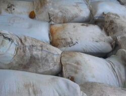 Nama Akbar Disebut Jadi Aktor Intelektual Penyelundupan 25 Ton Timah di Belitung
