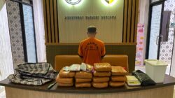 Simpan 12,5 Kg Ganja, Pria di Pangkalpinang Ini Dibekuk Polisi
