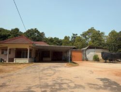Bongkar “Bekingan” Bos Timah Ilegal Awo Kayu Besi